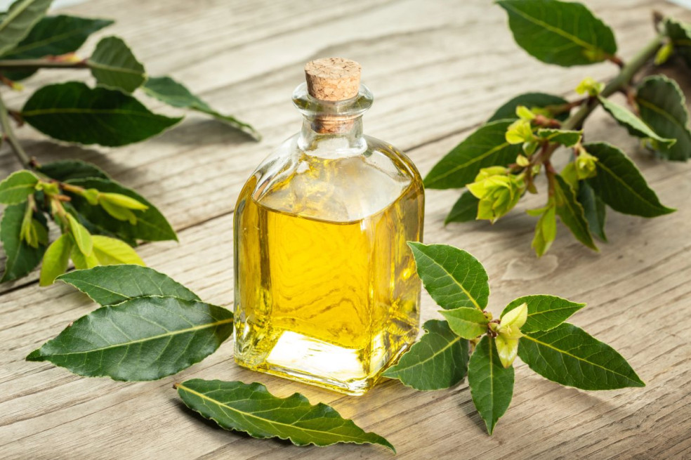 esenciální olej z bobkového listu