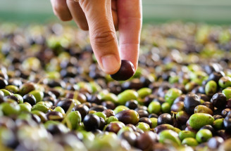 Aké sú účinky olív? Toto je dobrý dôvod, prečo ich jesť pravidelne!