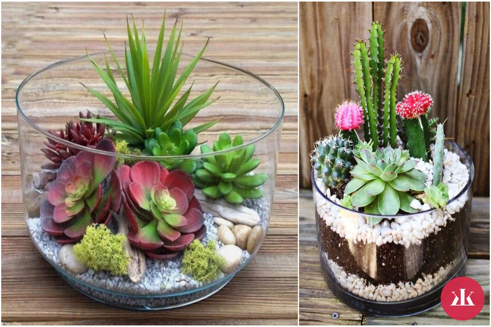 sukulenty a kaktusy v ozdobných pohároch