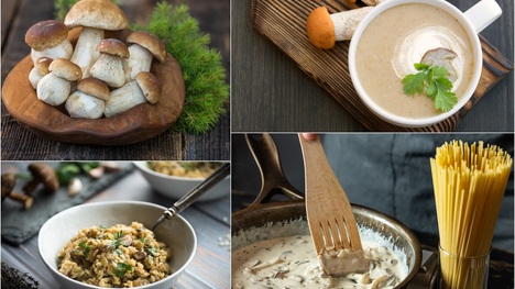 Najlepšie recepty s hubami: Skúsiš polievku, cestoviny alebo rizoto?