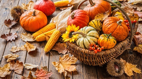 Najzdravšie jesenné potraviny: Pripíš ich na zoznam a pripni na chladničku