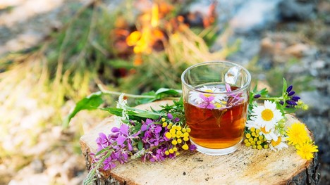 Bylinkové čaje pre naše zdravie a pohodu: Ktorý vyskúšať?