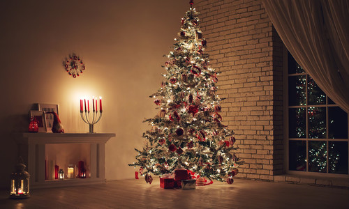 Ako vytvoriť dokonalý vianočný stromček? Poznáme jeho tajomstvo!