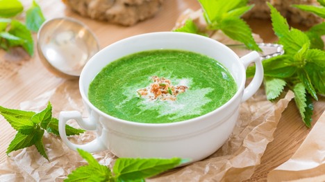 Tip na Zelený štvrtok: Žihľavová polievka – zdravšia ako špenátová