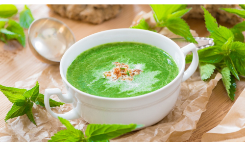 Tip na Zelený štvrtok: Žihľavová polievka – zdravšia ako špenátová