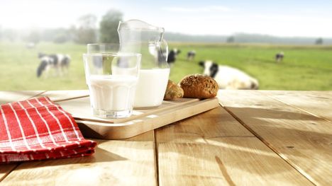Prečo by sme nemali konzumovať príliš veľa mlieka?