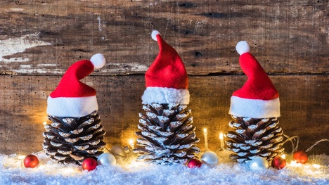 DIY jednoduché vianočné dekorácie zo šišiek: Vsaď na unikát!
