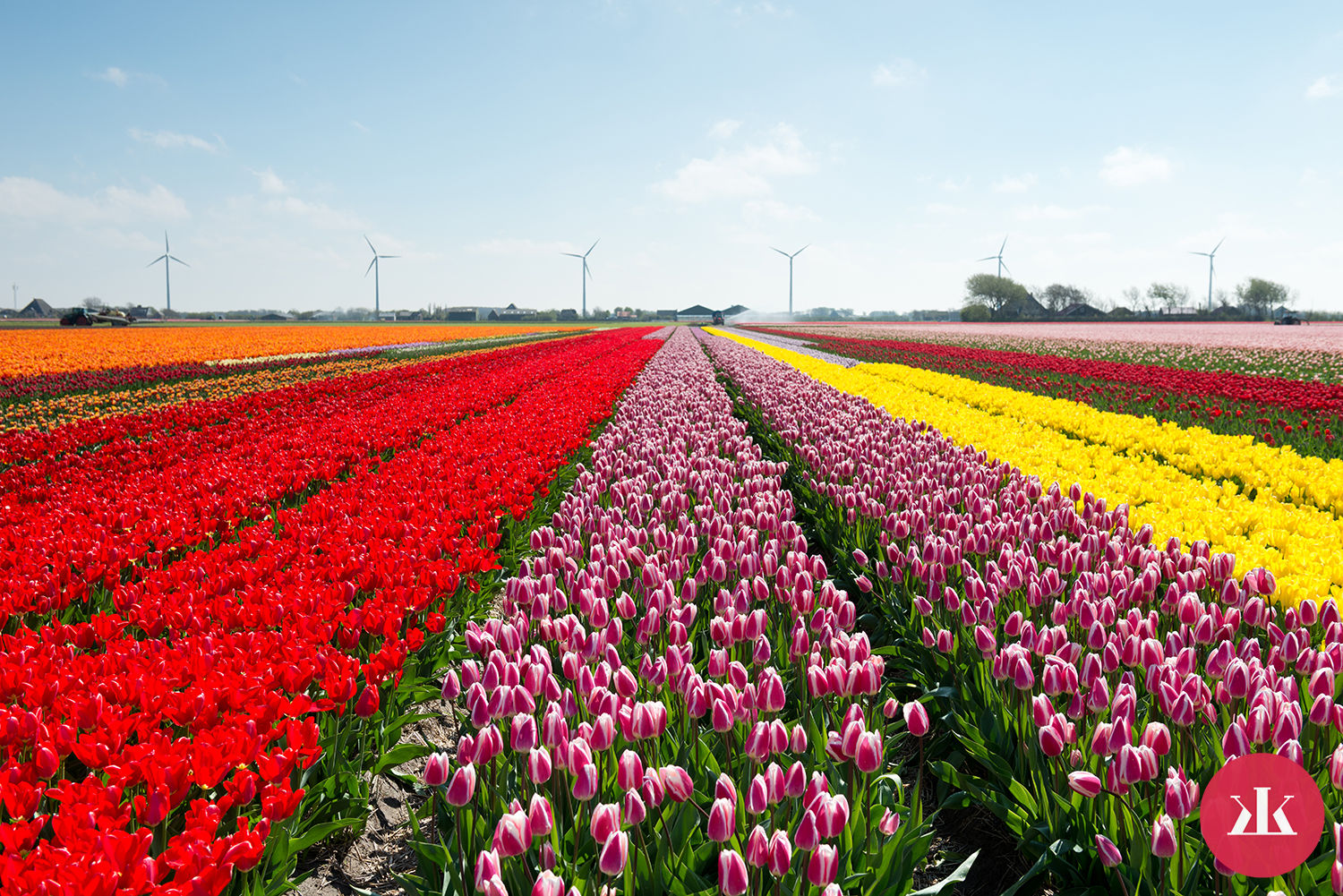 Prečo navštíviť Holandsko počas jari?