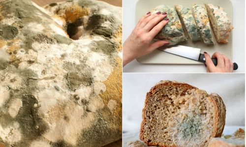 Ako uskladniť chlieb, aby vydržal dlhšie čerstvý? Ostaneš prekvapená!