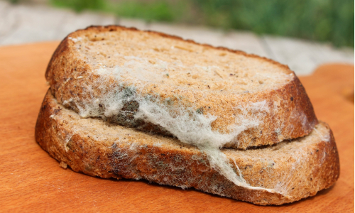 Nevieš, ako udržať chlieb dlhšie čerstvý? Tak vyskúšaj tento trik!
