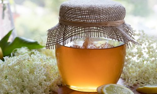Recept na bazový med: Ako pripraviť túto tradičnú pochúťku?