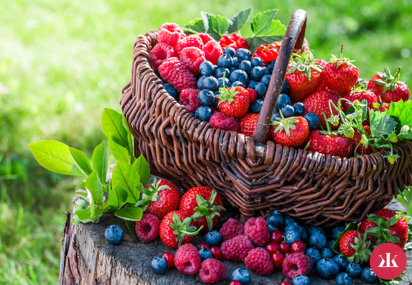 bobuľovité ovocie obsahuje antioxidanty