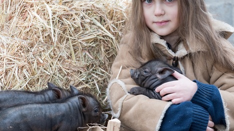 Tip na rodinný výlet: Minifarma Lubina so zvieratami na dosah ruky