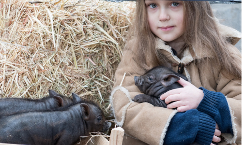 Tip na rodinný výlet: Minifarma Lubina so zvieratami na dosah ruky