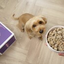 Nová kapitola v histórii: krmivo pre psov PetChef, vyskúšajte aj Vy!