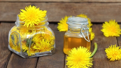 TOP recept na púpavový med: Ako si pripraviť túto liečivú pochúťku?