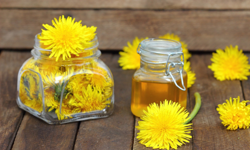 TOP recept na púpavový med: Ako si pripraviť túto liečivú pochúťku?