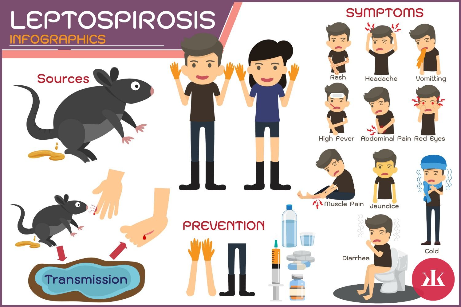 prejavy leptospirózy