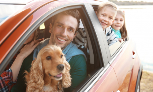 Ako cestovať bezpečne so psom v aute? Daj na tieto základné rady!