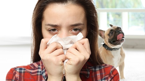 Alergia na zvieratá: Neriskuj ani s tými bez srsti!