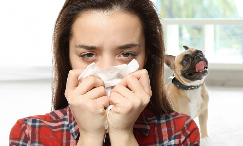 Alergia na zvieratá: Neriskuj ani s tými bez srsti!