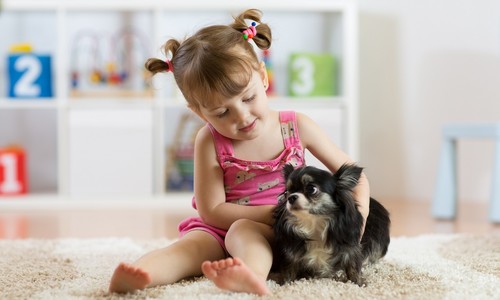 Domáce zvieratá k malým deťom: Ktoré sú vhodné a ktorým povedať nie?