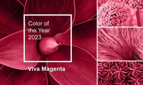 Farba roka 2023: Inštitút Pantone zvolil netradičný odtieň pre netradičnú dobu