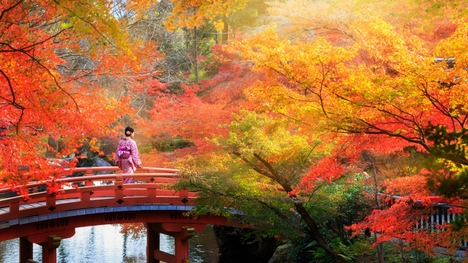 Jedinečné miesta: Momiji-gari a najkrajšie miesta v Japonsku