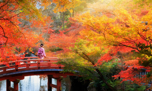 Jedinečné miesta: Momiji-gari a najkrajšie miesta v Japonsku