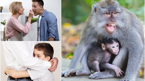Nebezpečná opičia láska: Keď rodičia milujú deti príliš
