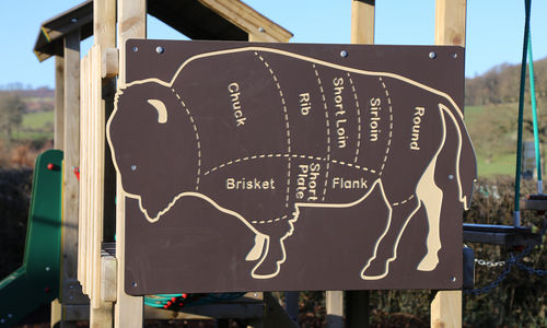 Prečo jesť bizónie mäso? Dôvodov je neúrekom a my ti ich povieme!
