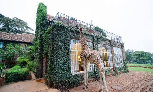 Giraffe Manor: Jedinečný hotel, v ktorom zažiješ africké dobrodružstvo