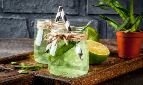 Vyskúšaj recept na likér z Aloe vera: Jeho liečivú silu ocení každý!
