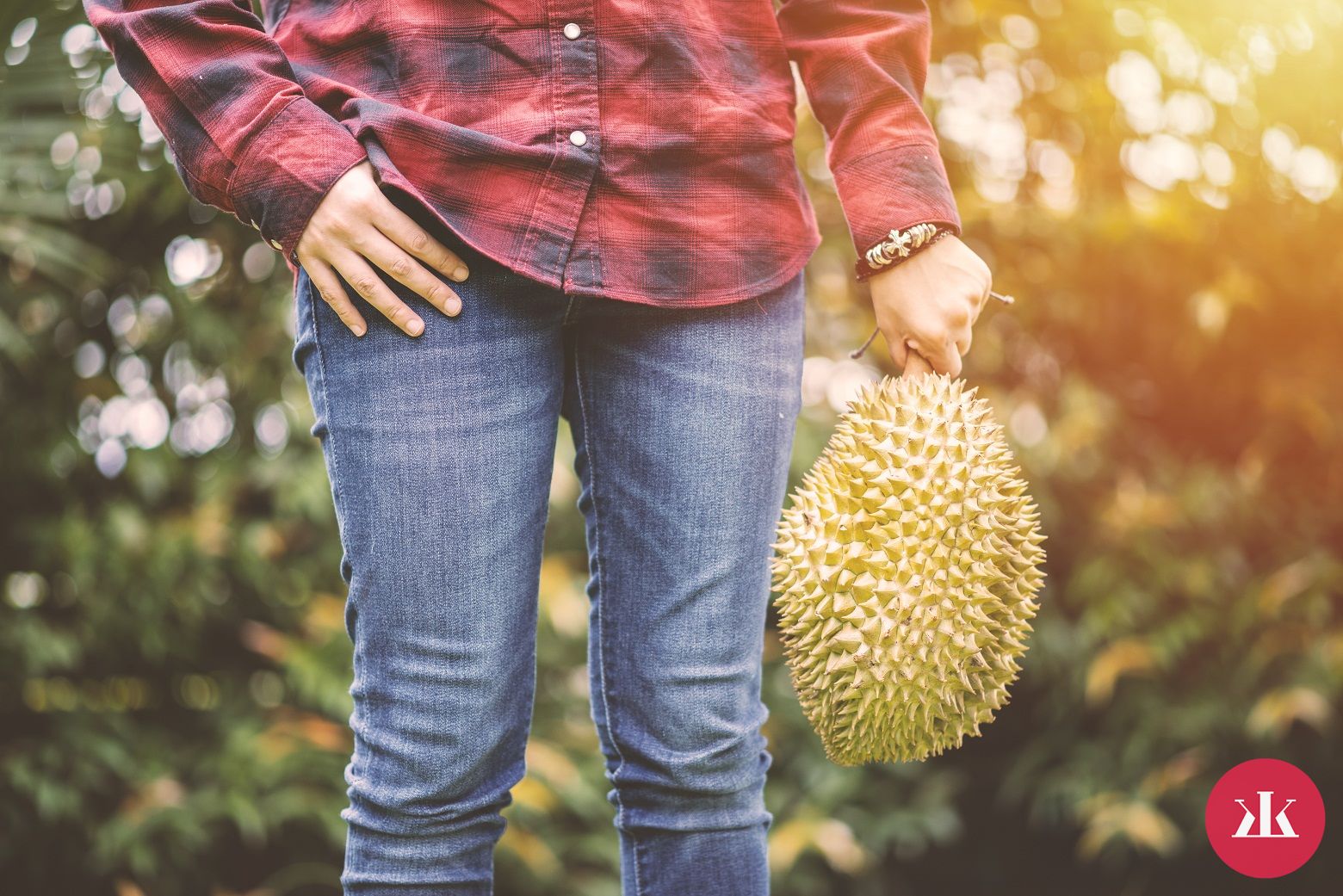 ako chutí durian