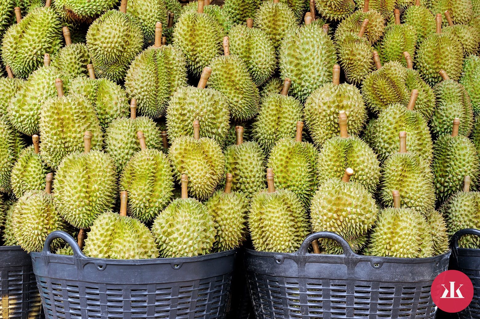 ovocie durian