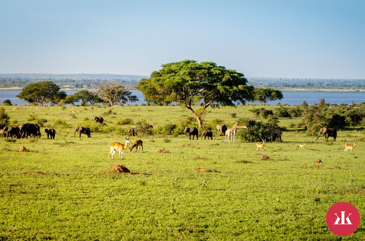 Safari v Ugande