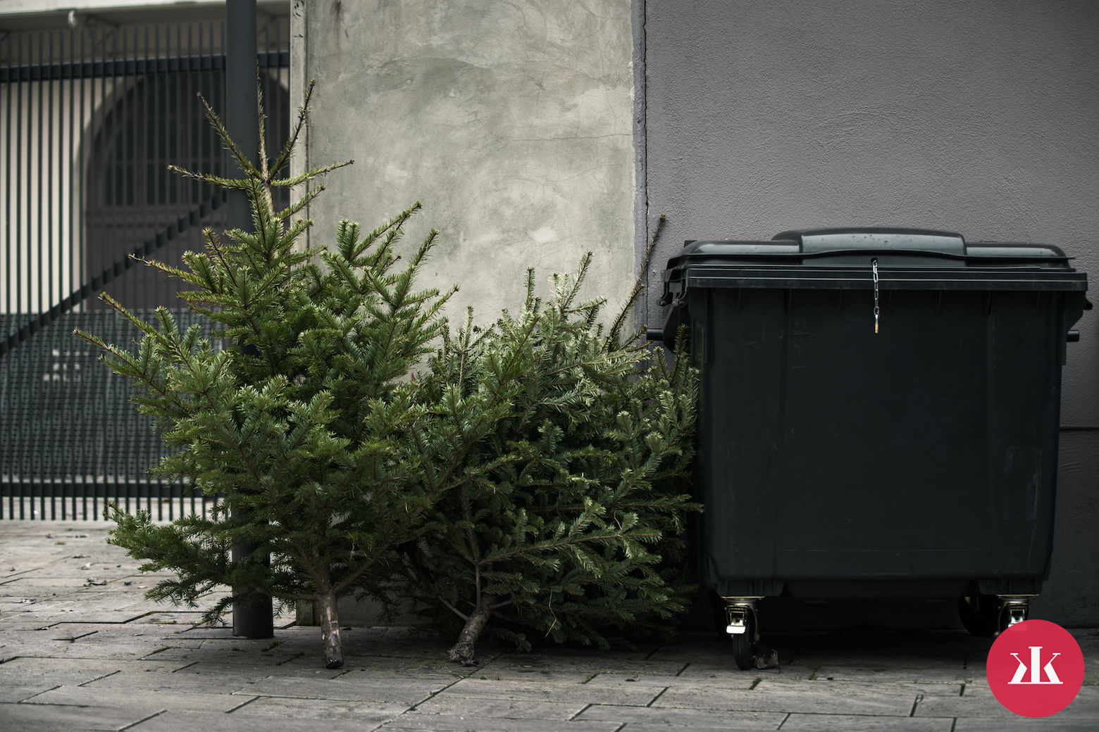 ekologický vianočný stromček