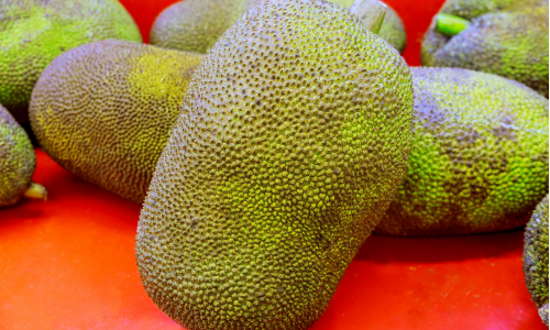 Ovocie jackfruit: Pozri sa, čím je absolútne fascinujúce!