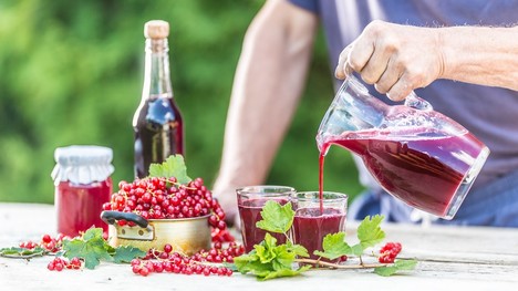 Domáce ríbezľové víno: Ako ho pripraviť z červených i čiernych bobúľ?