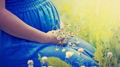 Bylinky v tehotenstve: Vieš, ktoré ti môžu uškodiť a ktoré pomôcť?