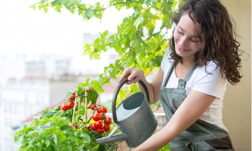 Akú zeleninu pestovať na balkóne? Toto ti porastie jedna radosť!