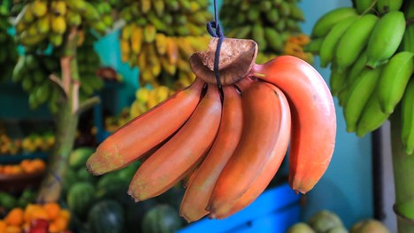 Ako chutia červené banány? Aké sú ich účinky a čo ich odlišuje od našich žltých?