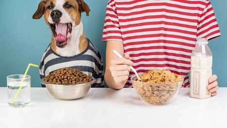 Jedálniček domáceho miláčika: Toto sú bezpečné potraviny pre psa