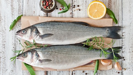 Ktoré ryby sú najzdravšie? Tieto by mali byť v našich jedálničkoch!