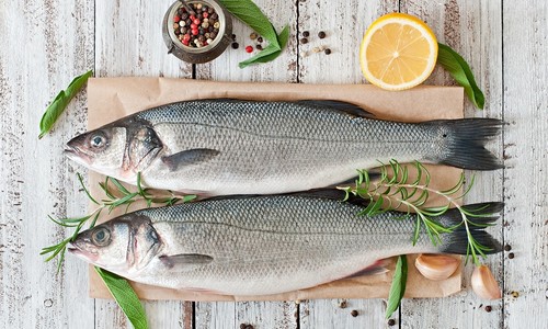Ktoré ryby sú najzdravšie? Tieto by mali byť v našich jedálničkoch!