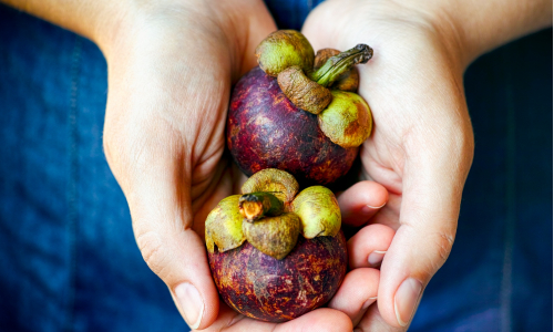 Ovocie mangostan: Dostane ťa do formy a ešte aj neopísateľne chutí!