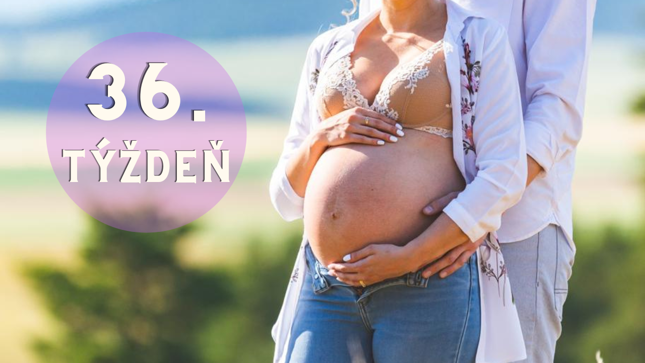 Tehotenstvo po týždňoch – 36. týždeň tehotenstva