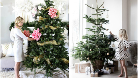 Tradičné vianočné stromčeky