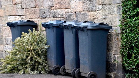 Čo so stromčekom po Vianociach? Nevyhadzuj, ale recykluj!