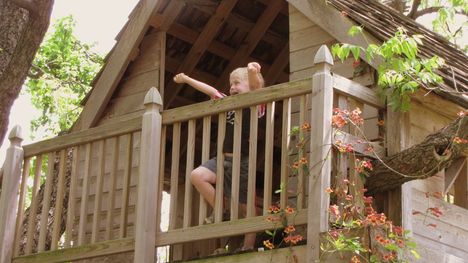 Záhradné domčeky na strome – tajné sny nielen vašich detí
